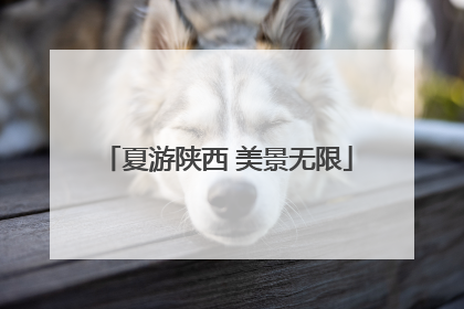 夏游陕西 美景无限