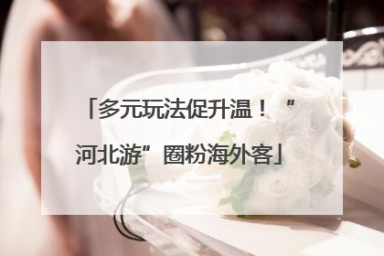多元玩法促升温！“河北游”圈粉海外客