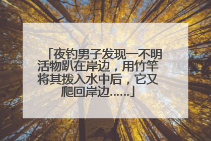 夜钓男子发现一不明活物趴在岸边，用竹竿将其拨入水中后，它又爬回岸边……