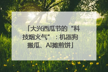 大兴西瓜节的“科技烟火气”：机器狗搬瓜、AI摊煎饼