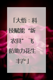 大悟：科技赋能“新农具” 飞防助力花生丰产