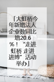 大虹桥今年新增法人企业数同比增20.6%！“走进虹桥 走进进博”活动举办