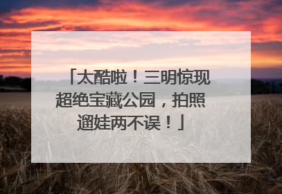 太酷啦！三明惊现超绝宝藏公园，拍照遛娃两不误！