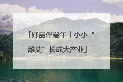 好品伴端午丨小小“潍艾”长成大产业