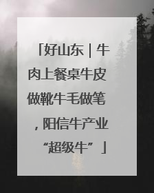 好山东｜牛肉上餐桌牛皮做靴牛毛做笔，阳信牛产业“超级牛”