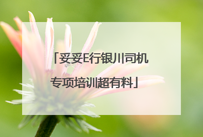 妥妥E行银川司机专项培训超有料