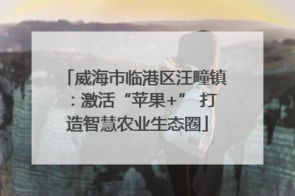 威海市临港区汪疃镇：激活“苹果+” 打造智慧农业生态圈