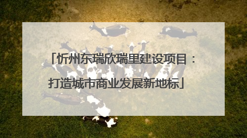 忻州东瑞欣瑞里建设项目：打造城市商业发展新地标