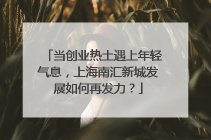 当创业热土遇上年轻气息，上海南汇新城发展如何再发力？