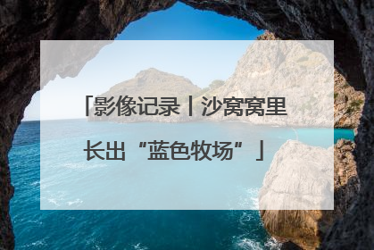 影像记录丨沙窝窝里长出“蓝色牧场”