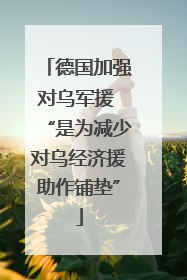 德国加强对乌军援 “是为减少对乌经济援助作铺垫”