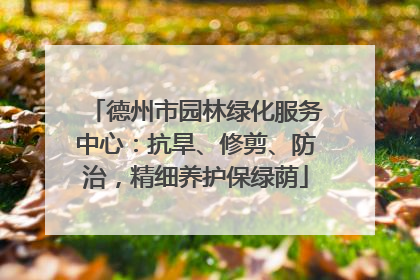 德州市园林绿化服务中心：抗旱、修剪、防治，精细养护保绿荫