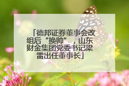 德邦证券董事会改组后“换帅”，山东财金集团党委书记梁雷出任董事长
