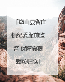 微山县留庄镇纪委靠前监督 保障夏粮颗粒归仓