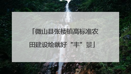 微山县张楼镇高标准农田建设绘就好“丰”景