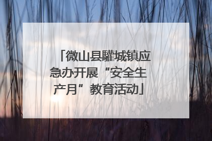 微山县驩城镇应急办开展“安全生产月”教育活动