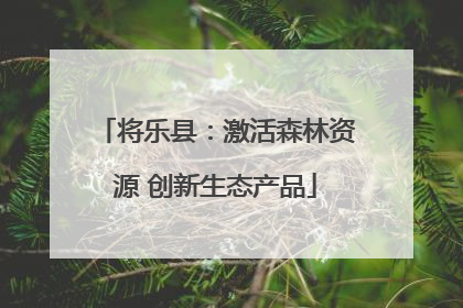 将乐县：激活森林资源 创新生态产品
