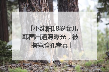 小沈阳18岁女儿韩国出道照曝光，被指撞脸孔孝真