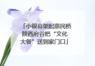 小银幕架起惠民桥 陕西府谷把“文化大餐”送到家门口