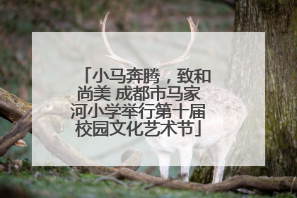 小马奔腾，致和尚美 成都市马家河小学举行第十届校园文化艺术节