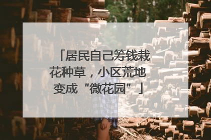 居民自己筹钱栽花种草，小区荒地变成“微花园”