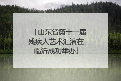 山东省第十一届残疾人艺术汇演在临沂成功举办