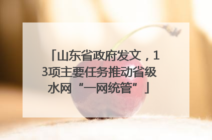 山东省政府发文，13项主要任务推动省级水网“一网统管”