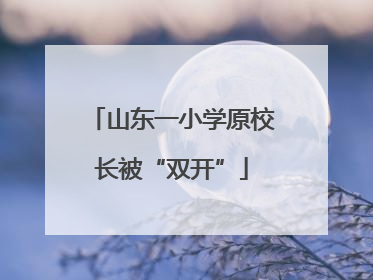 山东一小学原校长被“双开”
