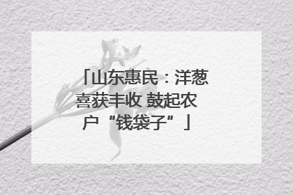 山东惠民：洋葱喜获丰收 鼓起农户“钱袋子”
