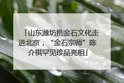 山东潍坊携金石文化走进北京，“金石宗师”陈介祺罕见珍品亮相