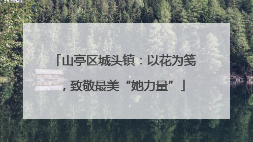 山亭区城头镇：以花为笺，致敬最美“她力量”