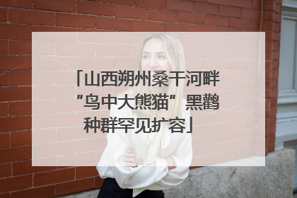 山西朔州桑干河畔“鸟中大熊猫”黑鹳种群罕见扩容