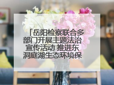 岳阳检察联合多部门开展主题法治宣传活动 推进东洞庭湖生态环境保护工作
