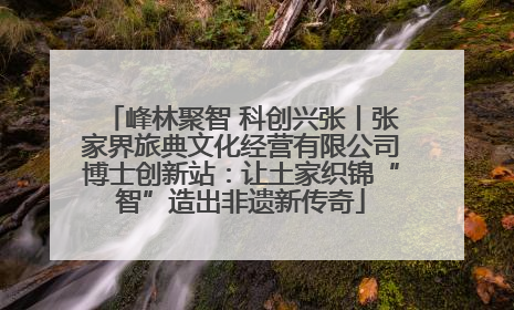 峰林聚智 科创兴张丨张家界旅典文化经营有限公司博士创新站：让土家织锦“智”造出非遗新传奇