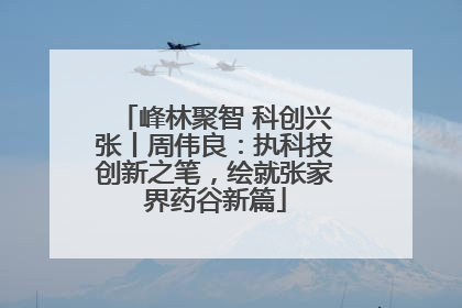 峰林聚智 科创兴张丨周伟良：执科技创新之笔，绘就张家界药谷新篇