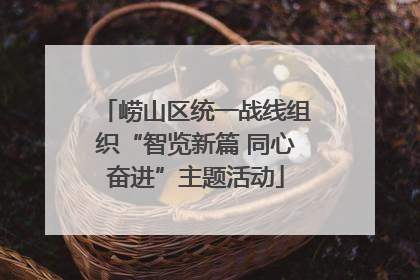 崂山区统一战线组织“智览新篇 同心奋进”主题活动