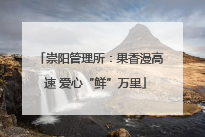 崇阳管理所：果香漫高速 爱心“鲜”万里