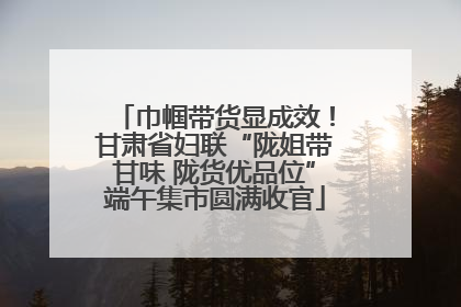 巾帼带货显成效！甘肃省妇联“陇姐带甘味 陇货优品位”端午集市圆满收官
