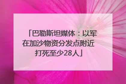 巴勒斯坦媒体：以军在加沙物资分发点附近打死至少28人