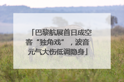 巴黎航展首日成空客“独角戏”，波音元气大伤低调隐身