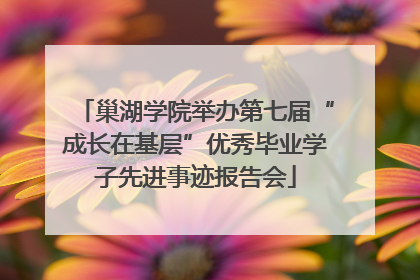 巢湖学院举办第七届“成长在基层”优秀毕业学子先进事迹报告会