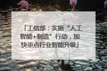 工信部：实施“人工智能+制造”行动，加快重点行业智能升级