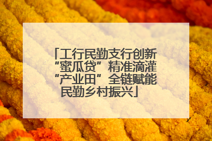工行民勤支行创新“蜜瓜贷”精准滴灌“产业田”全链赋能民勤乡村振兴
