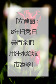 左建丽：8年扫秃扫帚百余把 用汗水给城市添彩