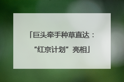 巨头牵手种草直达：“红京计划”亮相
