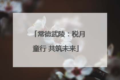 常德武陵：税月童行 共筑未来