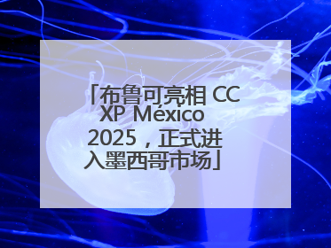 布鲁可亮相 CCXP México 2025，正式进入墨西哥市场