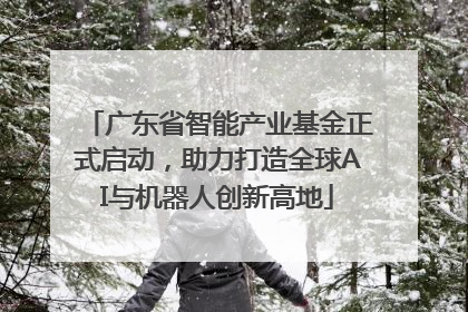 广东省智能产业基金正式启动，助力打造全球AI与机器人创新高地