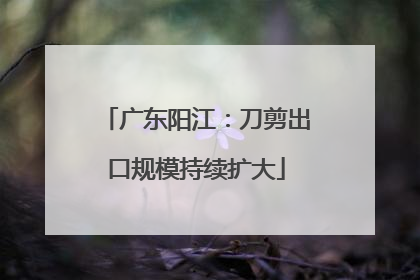 广东阳江：刀剪出口规模持续扩大