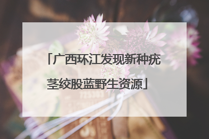 广西环江发现新种疣茎绞股蓝野生资源